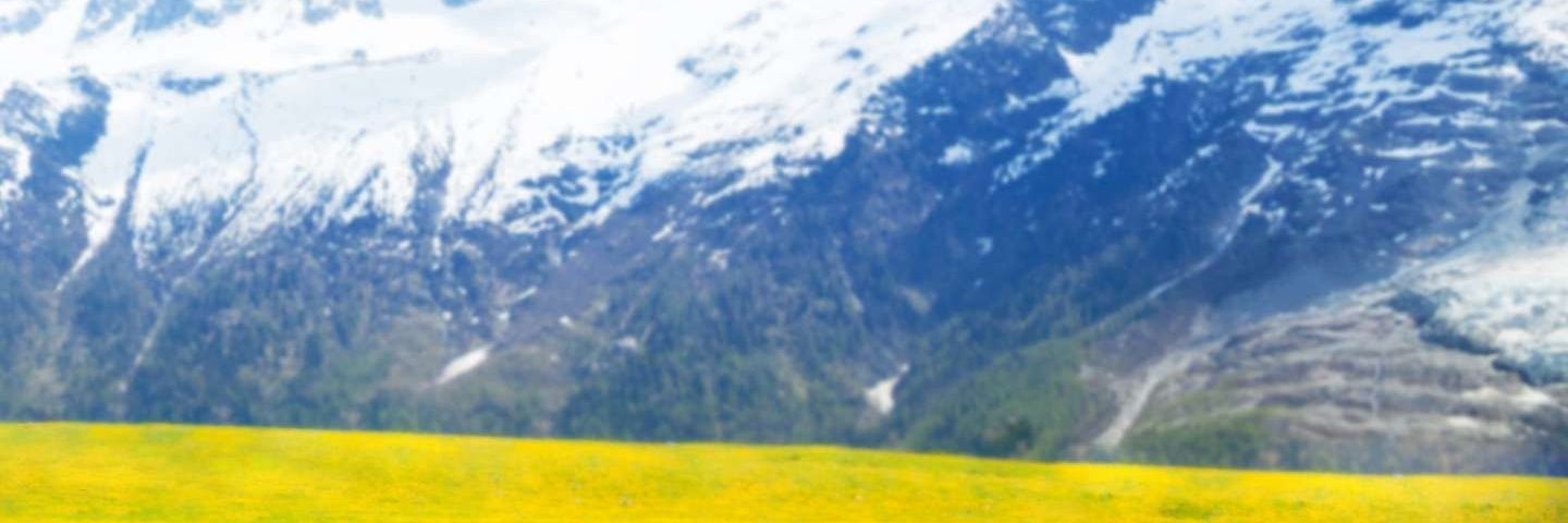 Sweetjoby's profile banner image