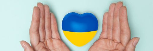 💙💛 Regina Laska's banner