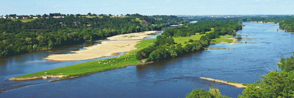Vignerons Indépendants des Pays de la Loire banner