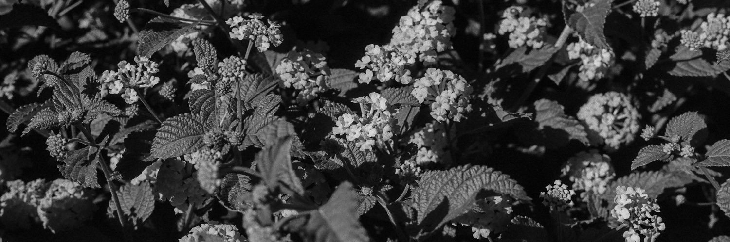 JoshRatti's profile banner image