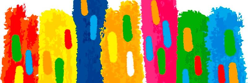 citta_libro's profile banner image