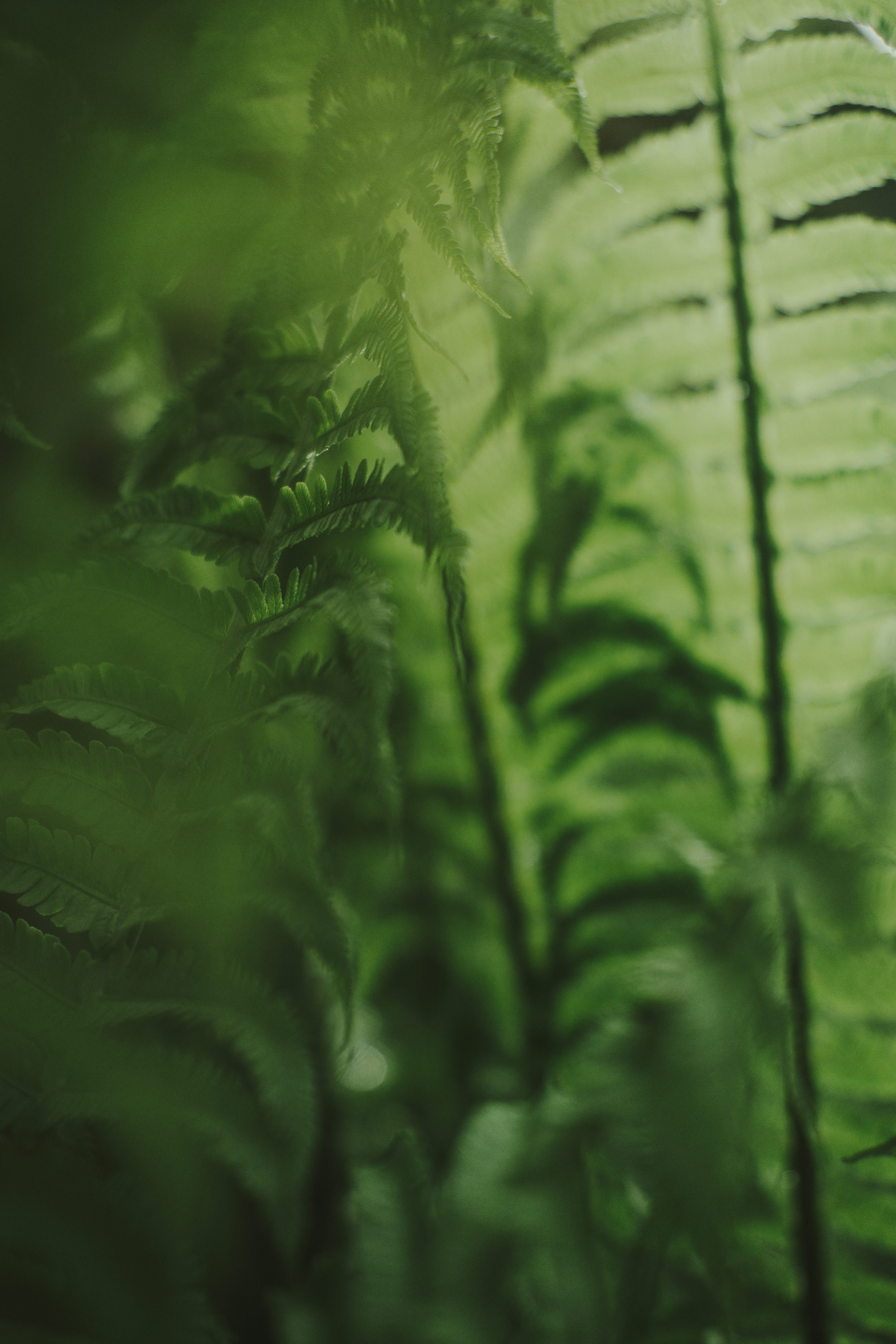 canhiv's profile banner image