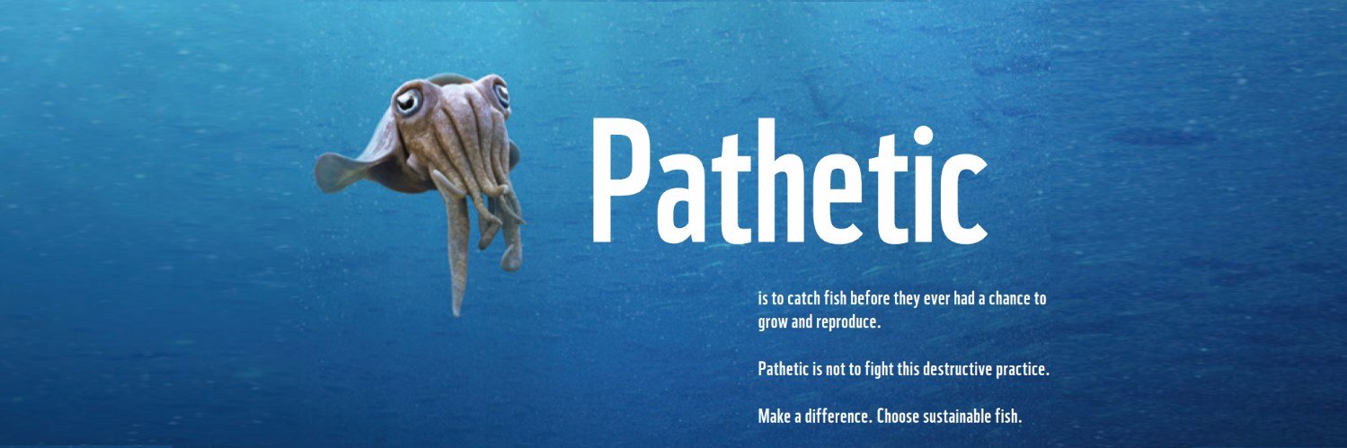 WWF_FishForward's profile banner image