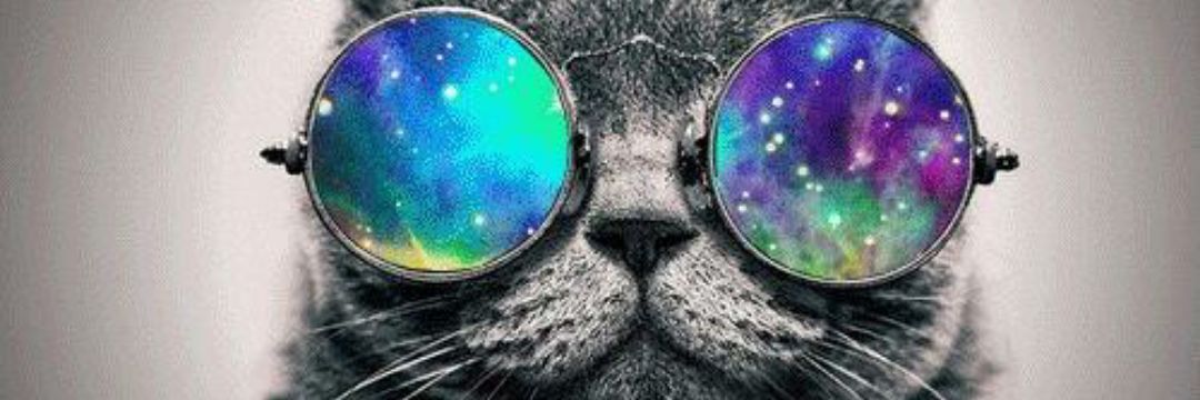 a_dawn03's profile banner image