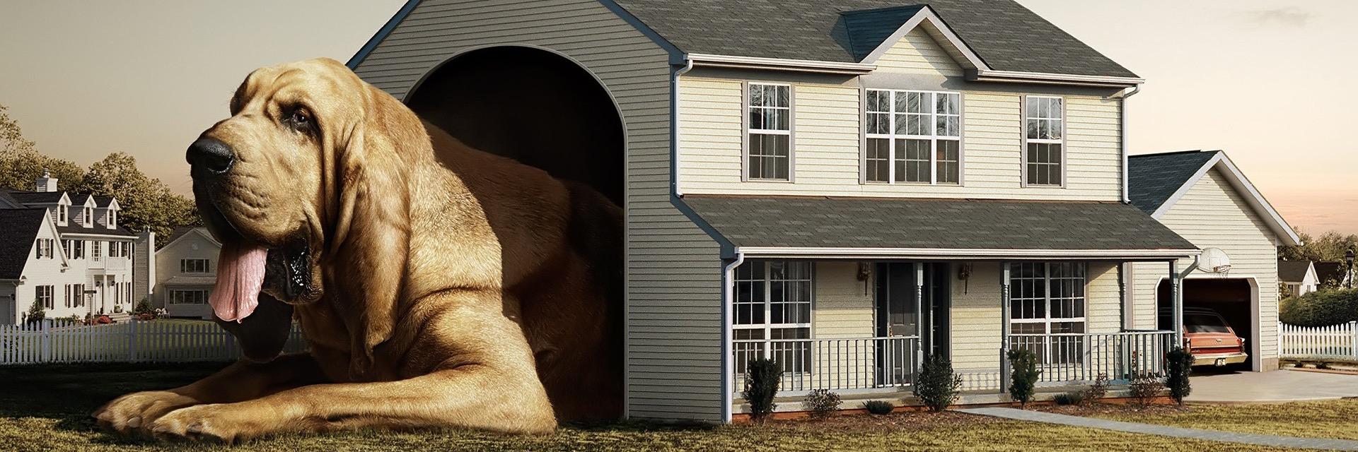 QuaLaCoda's profile banner image