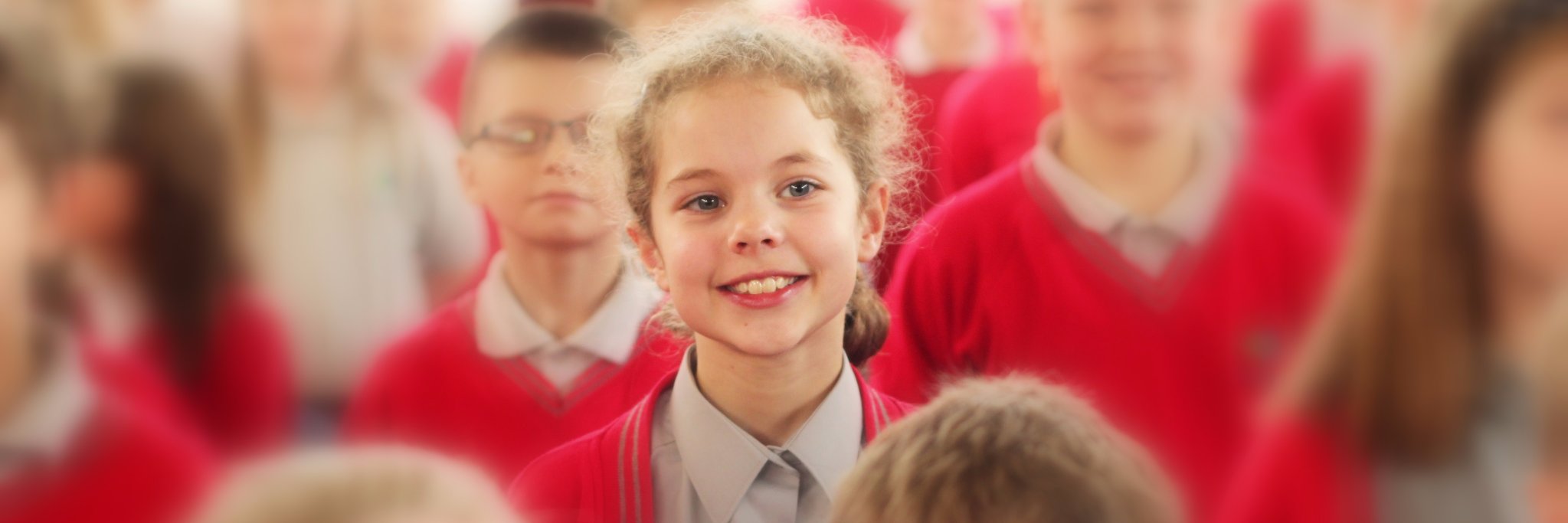 Willows Primary Academy banner