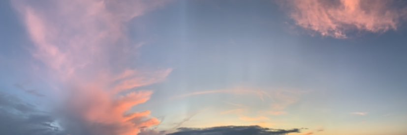 nicklee_____'s profile banner image