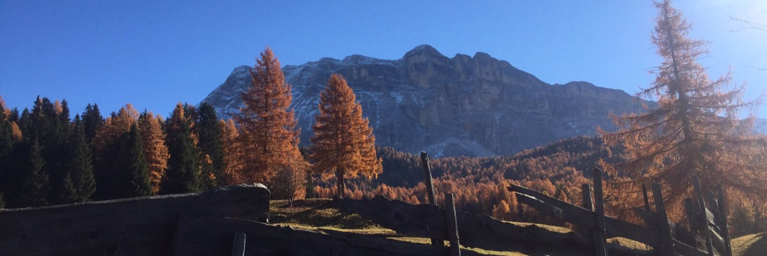 CabiatiCarlotta's profile banner image