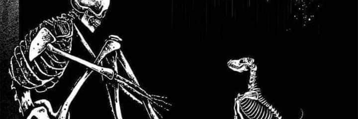 wuicho_martinez's profile banner image