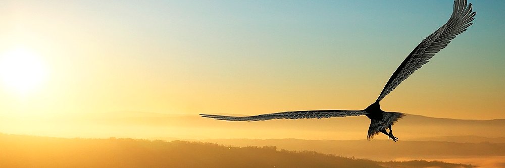 Bettie F Williams ES banner