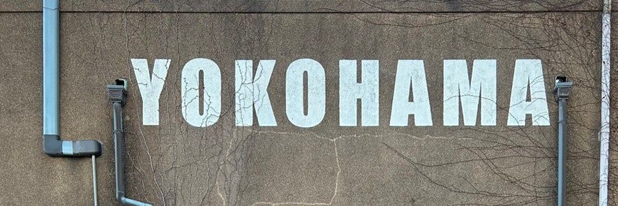 sitanoya's profile banner image