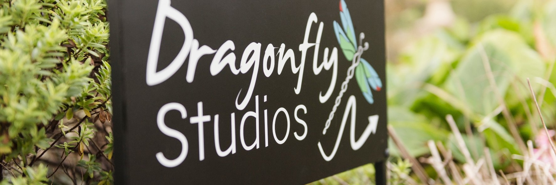 DragonflyTom's profile banner image