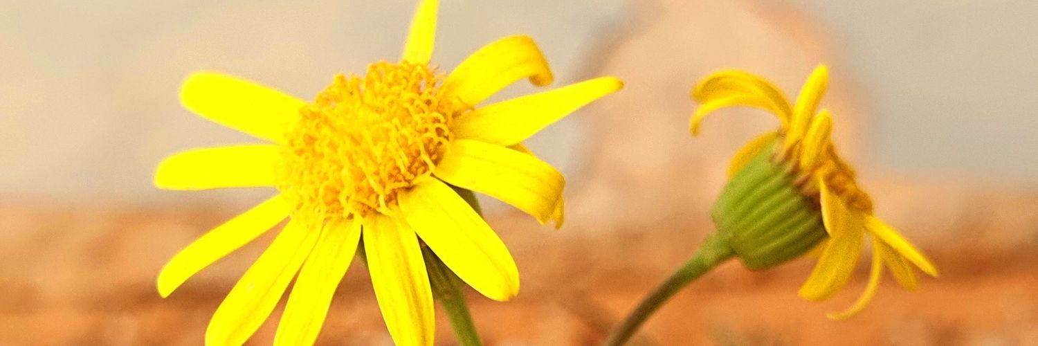 itsab7's profile banner image