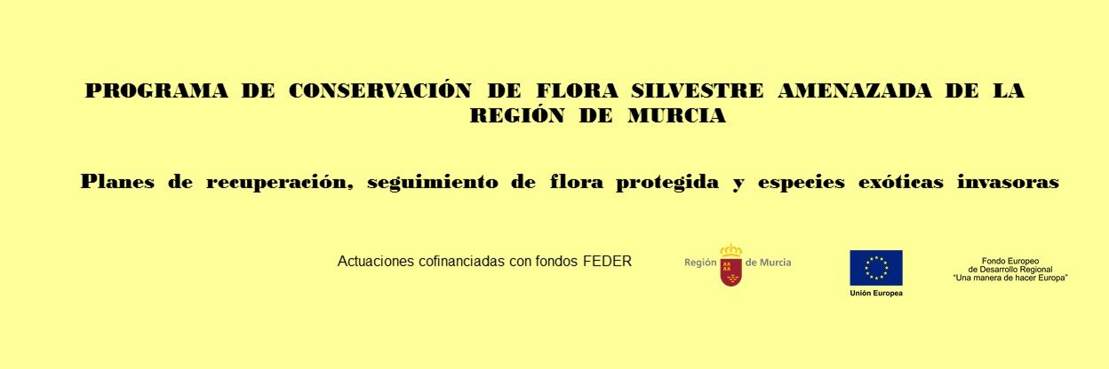 ProgramaFlora's profile banner image