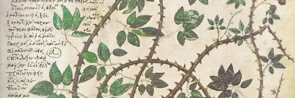 beeblle's profile banner image