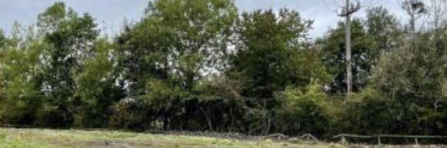 dieseljack3's profile banner image