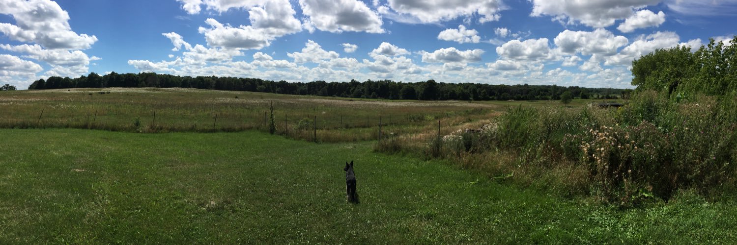 breanimal__'s profile banner image