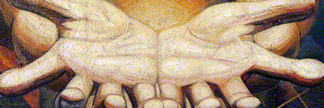 DavideCoc's profile banner image