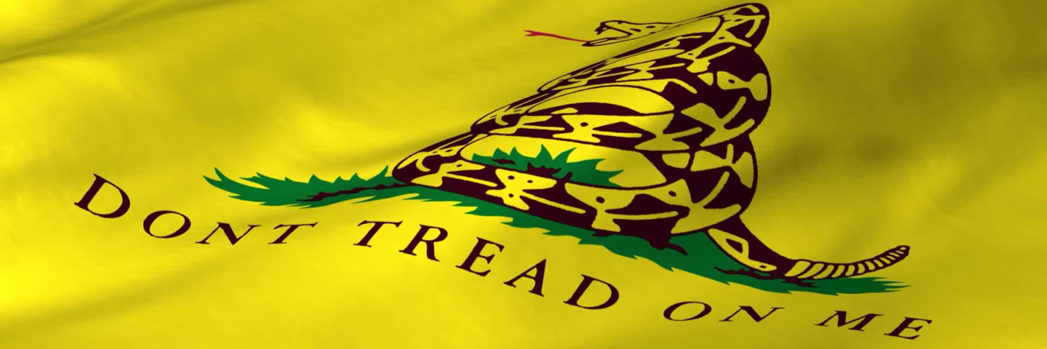 Philippe Hanchir 🚀🐍🗽☢️ banner