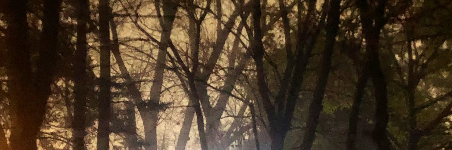 FlorenSaccone's profile banner image