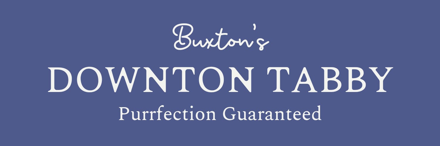 BuxtonsDT's profile banner image
