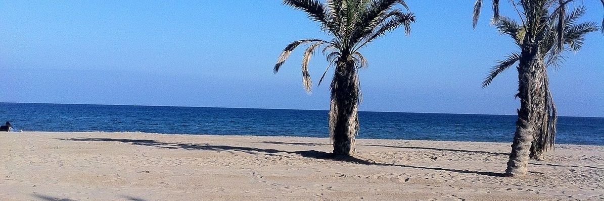 711Atenea's profile banner image