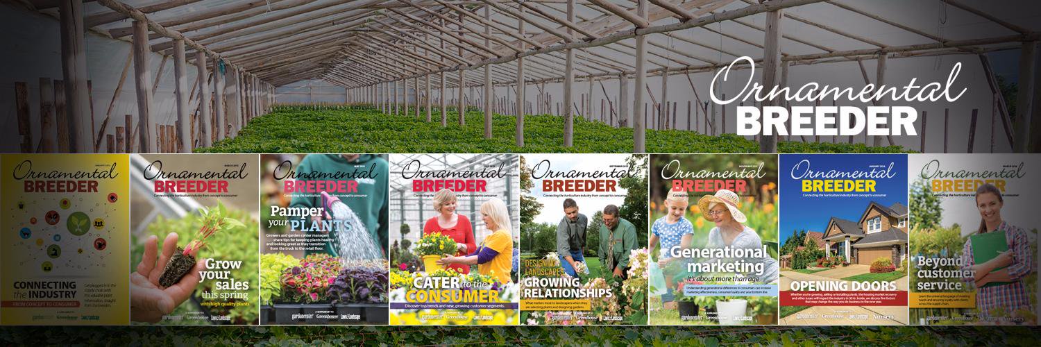 OrnamentalBreed's profile banner image