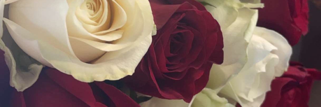 STL_BPT's profile banner image