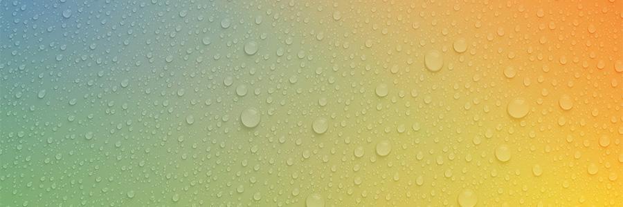 LEMONLeadership's profile banner image
