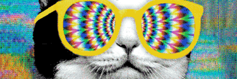 monchuOK's profile banner image