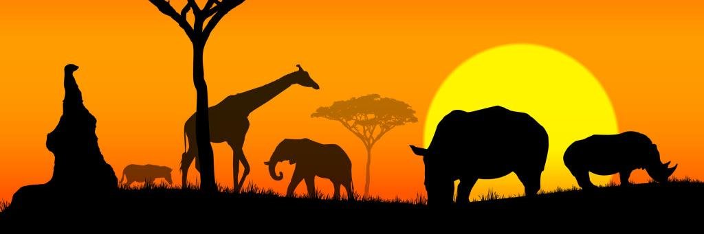 MaxAfrika's profile banner image