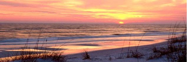 ALbeaches's profile banner image