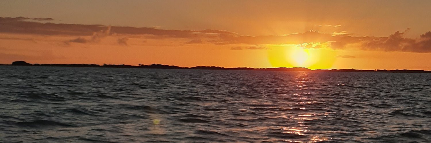 fernandezzalan's profile banner image