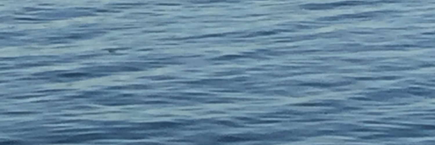helensummerton2's profile banner image