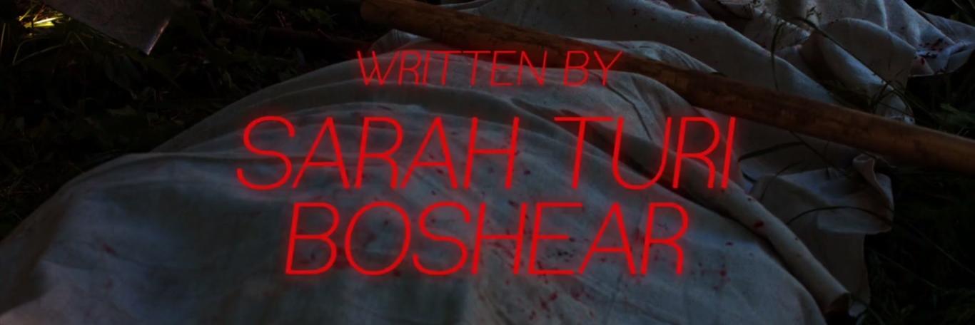 heyheyboshear's profile banner image