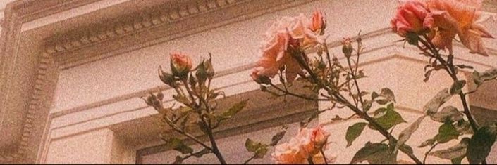 ygirll_'s profile banner image