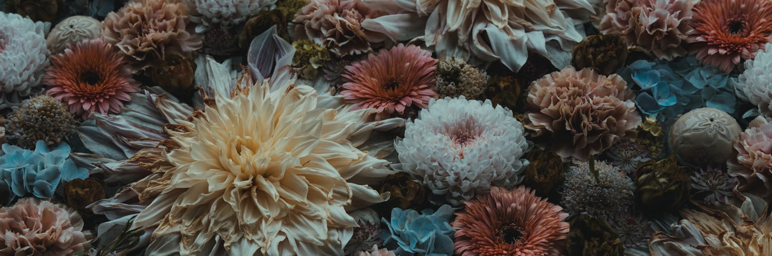 ニヤ's banner
