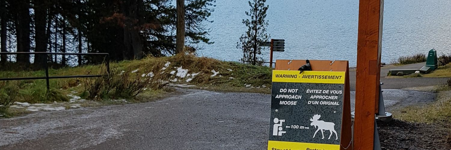 TomJSutherland's profile banner image