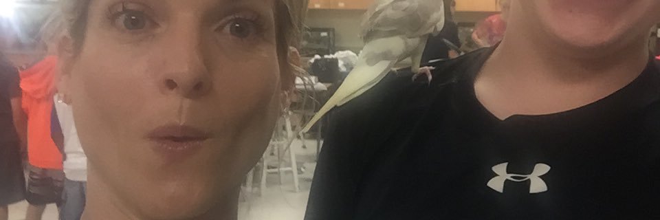 Lindsay Little banner