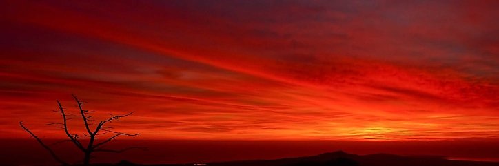 Versus ciudadano cero banner