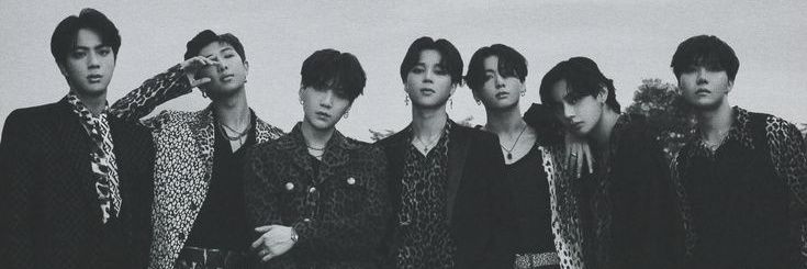 ; 삼색고양이🐾 banner