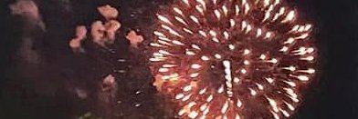 TN Rec&Parks Assoc. banner