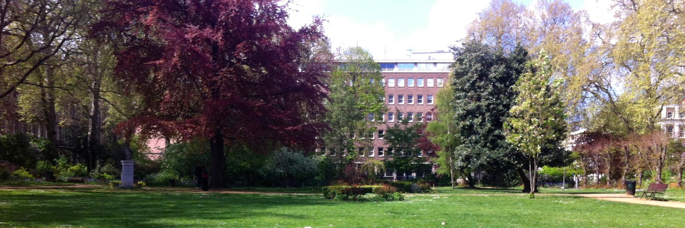 UCL Conservation banner