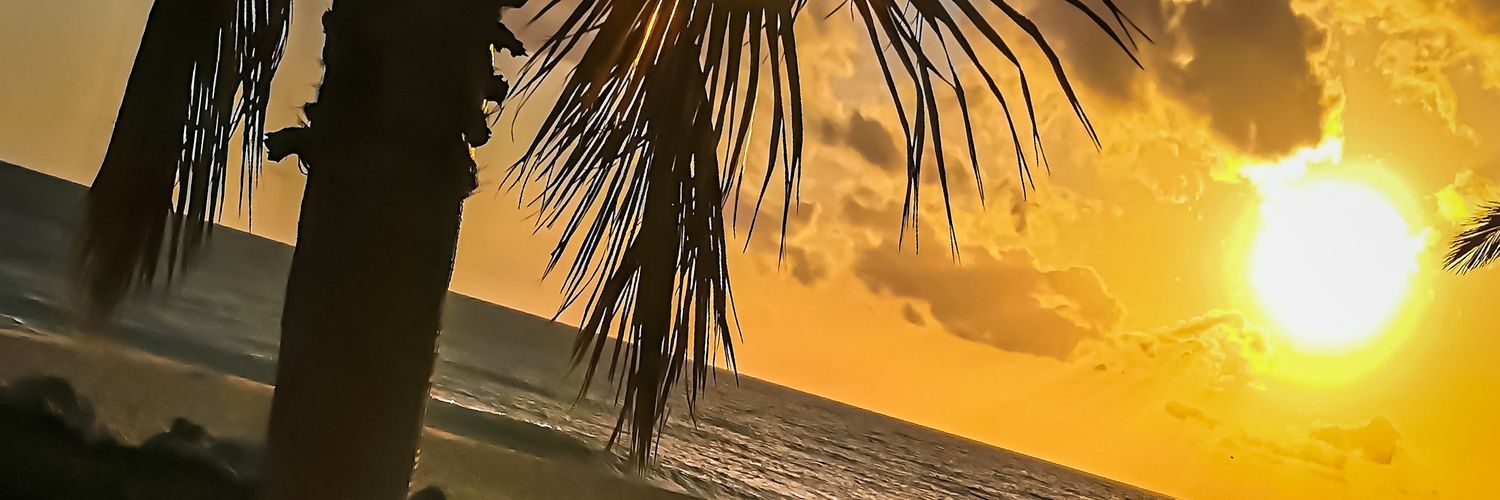 AryaStarkBae's profile banner image