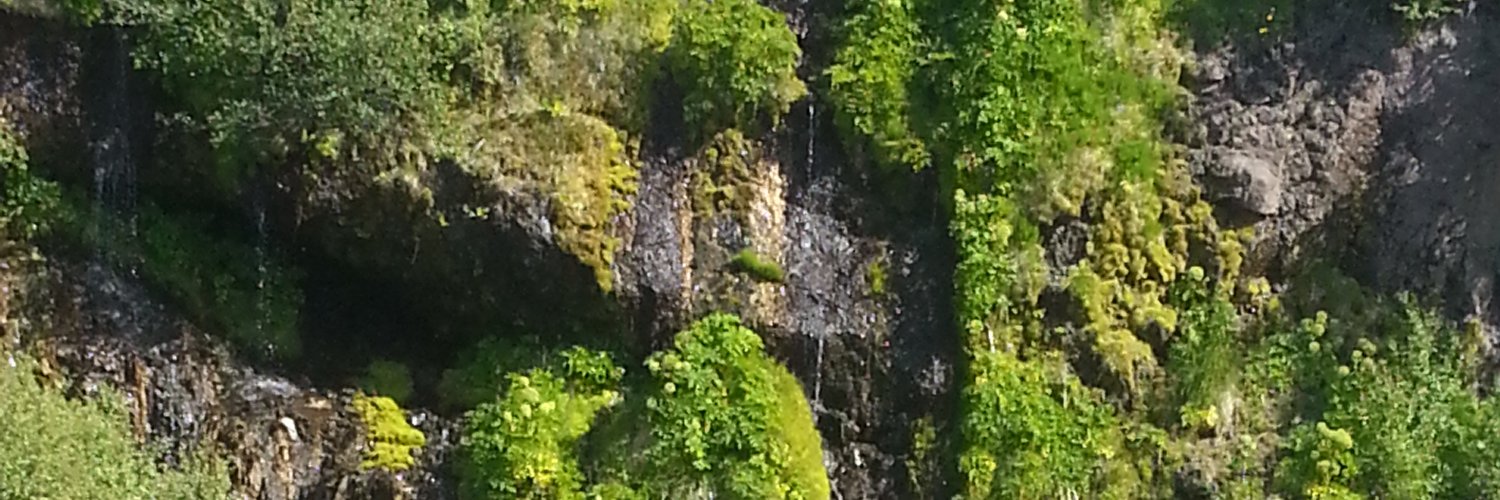 Rebecca Epperson banner