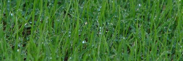 EH GRIFFITH, INC banner