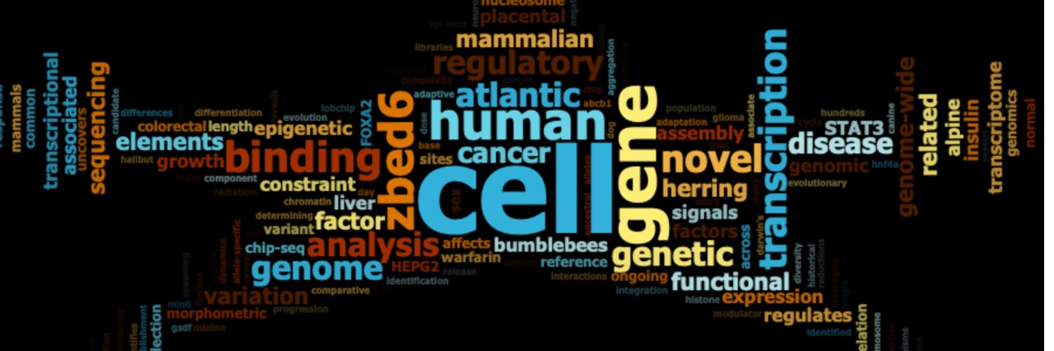 Ola Wallerman🇸🇪 banner