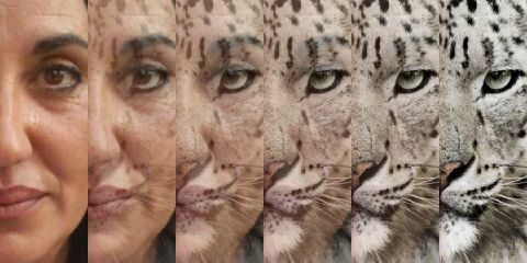 lidia sanchez banner