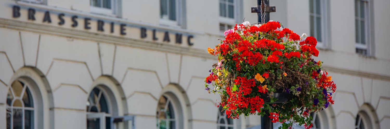 CheltenhamBB's profile banner image