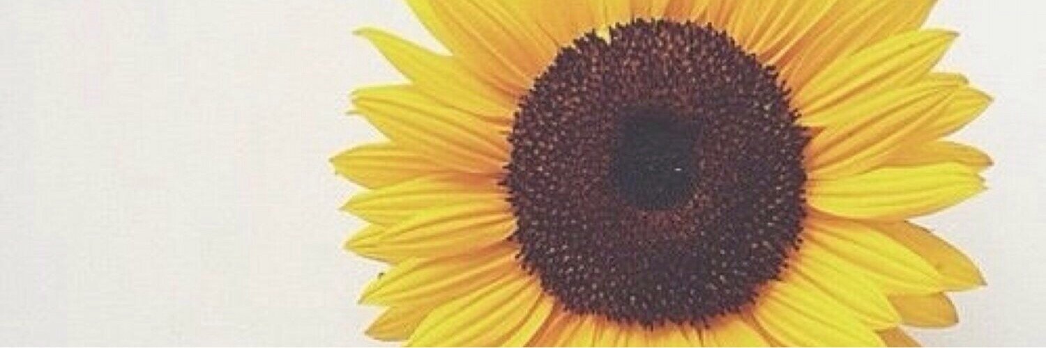 CJL_311's profile banner image